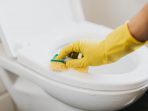 Perkembangan  Sejarah Sedot WC Dan Munculnya Jasa Perbaikan Kloset Mampet